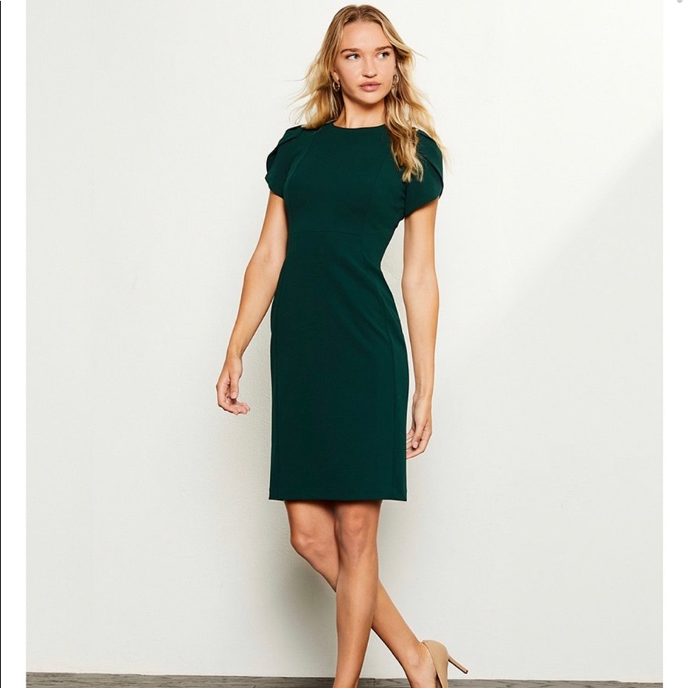 Brand new Calvin Klein sheath dress in dark green. Beautiful tulip sleeves.